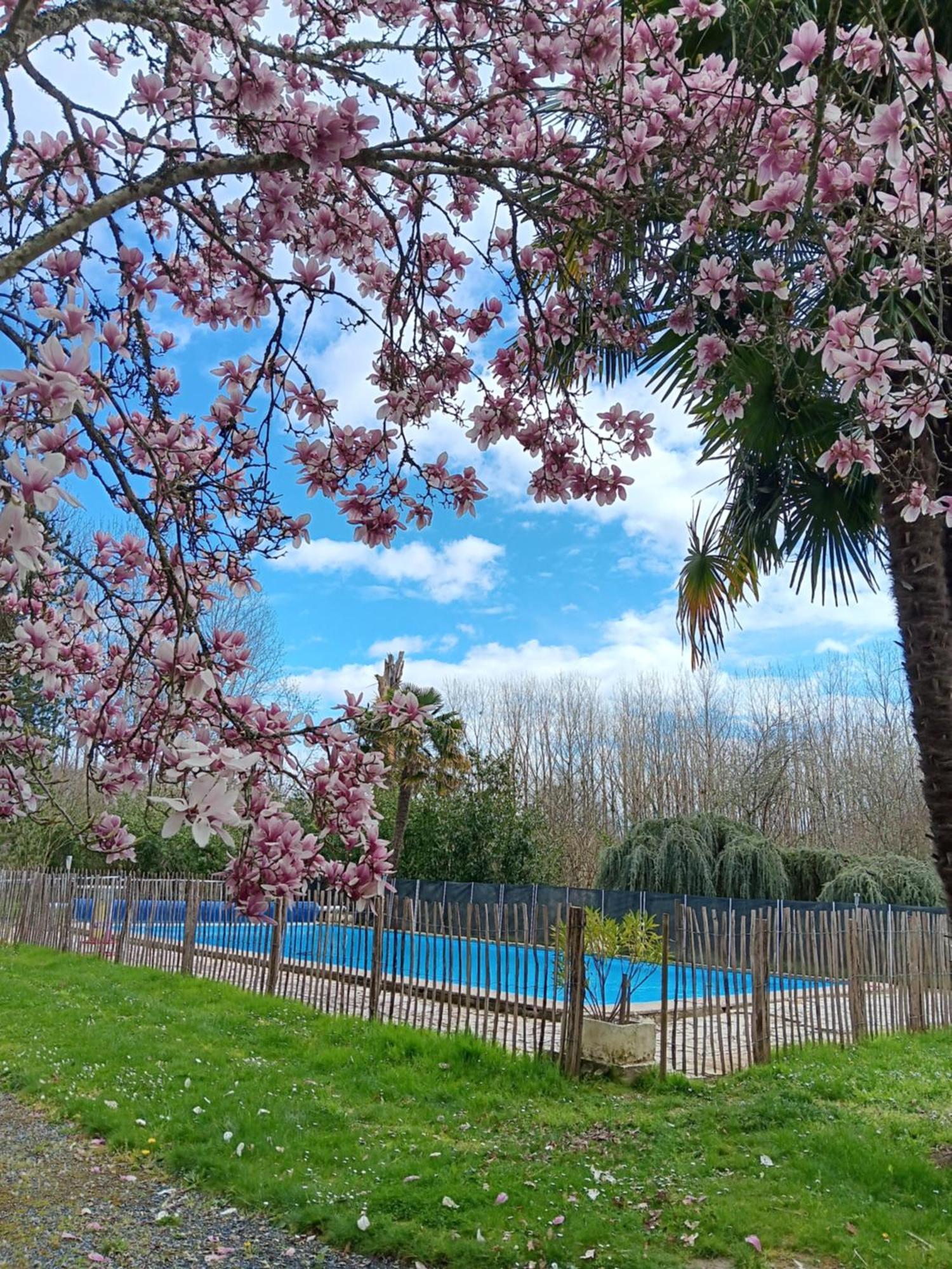 Gite Au Moulin Du Comte Bourrouillan エクステリア 写真