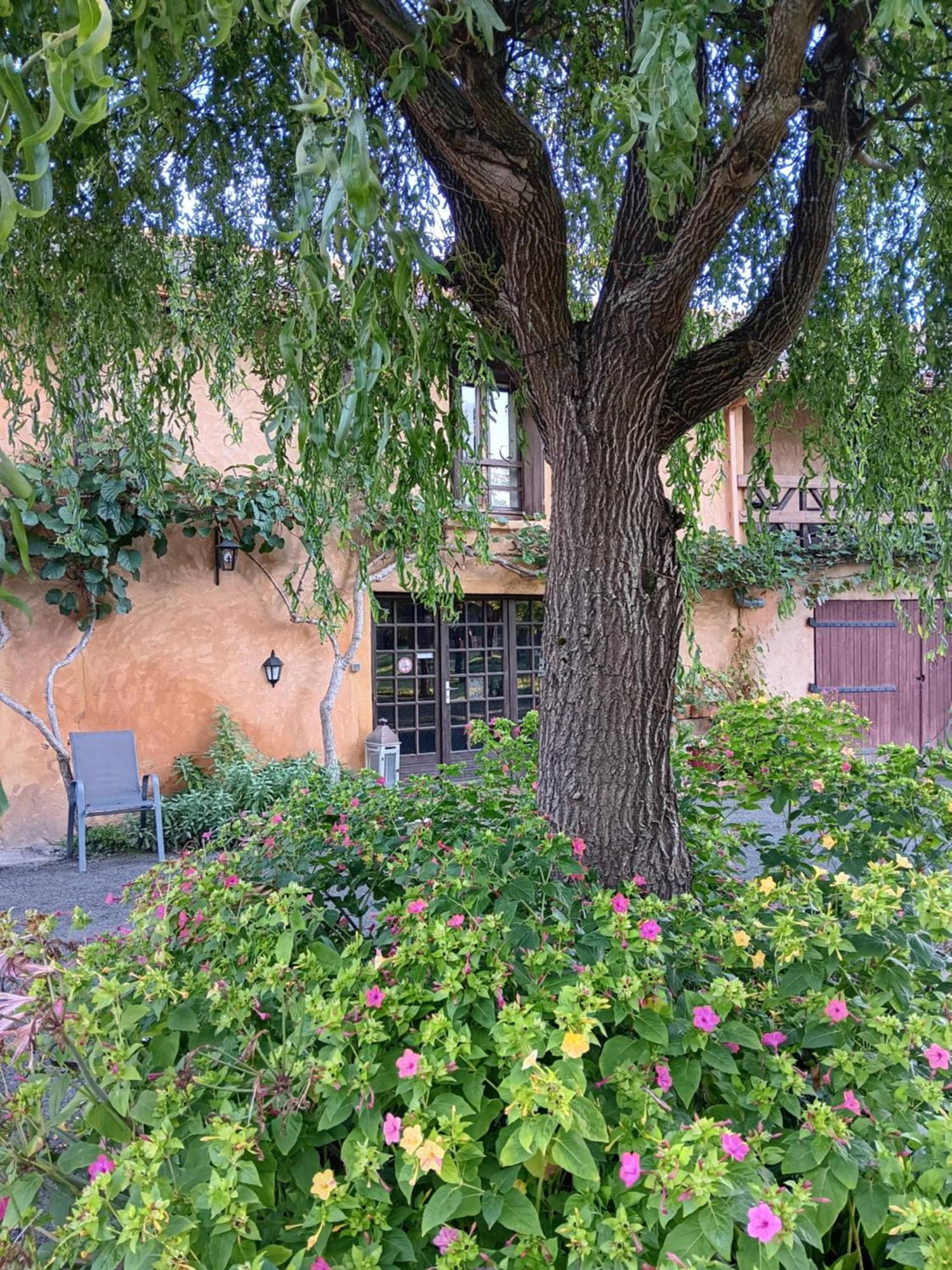Gite Au Moulin Du Comte Bourrouillan エクステリア 写真