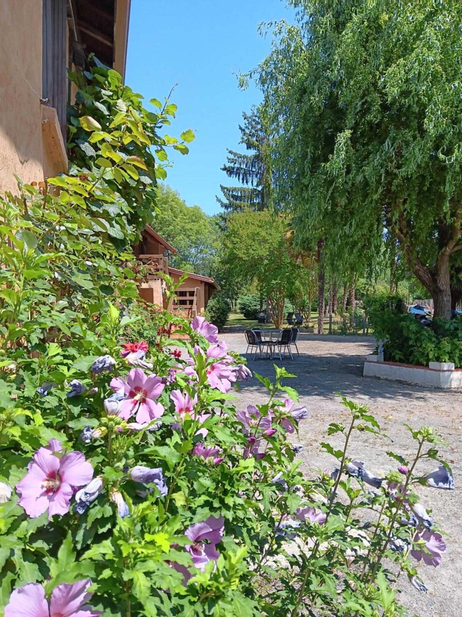 Gite Au Moulin Du Comte Bourrouillan エクステリア 写真